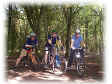 bikers.jpg (125630 bytes)
